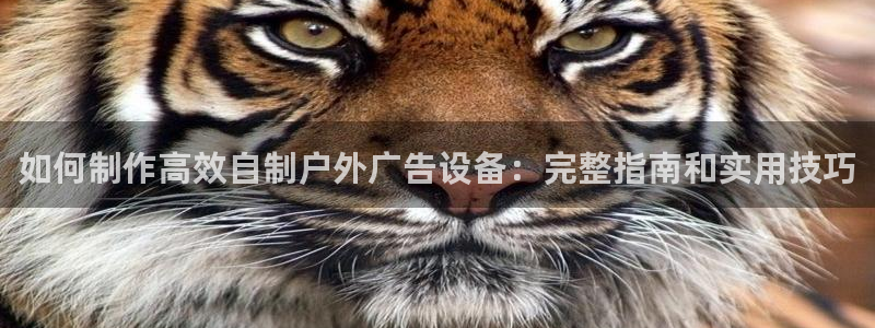 杏宇平台代理怎么样可靠吗：如何制作高效自制户外广告设备：完整指南和实用技巧