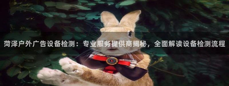 杏宇官方平台官网：菏泽户外广告设备检测：专业服务提供商揭秘，全面解读设备检测流程