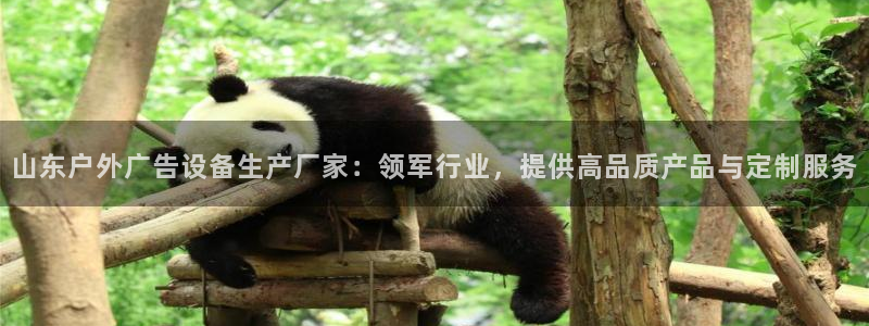 杏宇平台招商电话号码：山东户外广告设备生产厂家：领军行业，提供高品质产品与定制服务