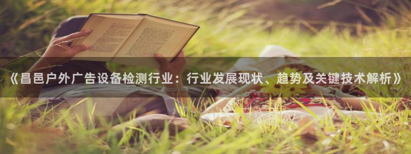 杏宇平台好吗：《昌邑户外广告设备检测行业：行业发展现状、趋势及关键技术解析》