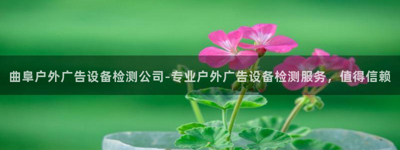 杏宇平台招商：曲阜户外广告设备检测公司-专业户外广告设备检测服务，值得信赖