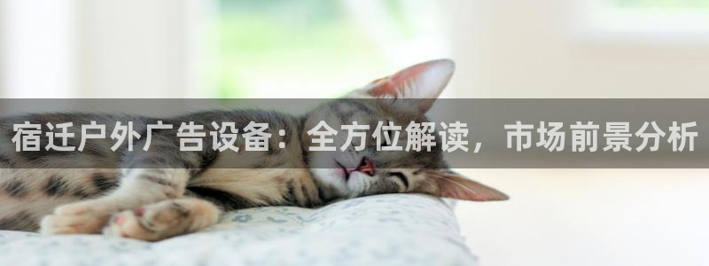 杏宇平台怎么样知乎：宿迁户外广告设备：全方位解读，市场前景分析