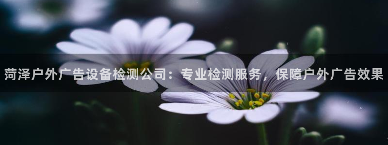 杏宇平台怎么样：菏泽户外广告设备检测公司：专业检测服务，保障户外广告效果