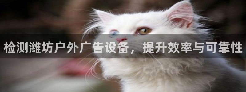 杏宇平台登录步骤是什么：检测潍坊户外广告设备，提升效率与可靠性