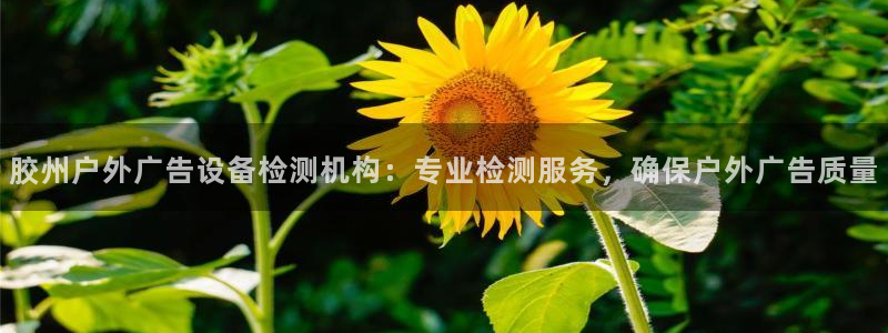杏宇平台总代理电话：胶州户外广告设备检测机构：专业检测服务，确保户外广告质量