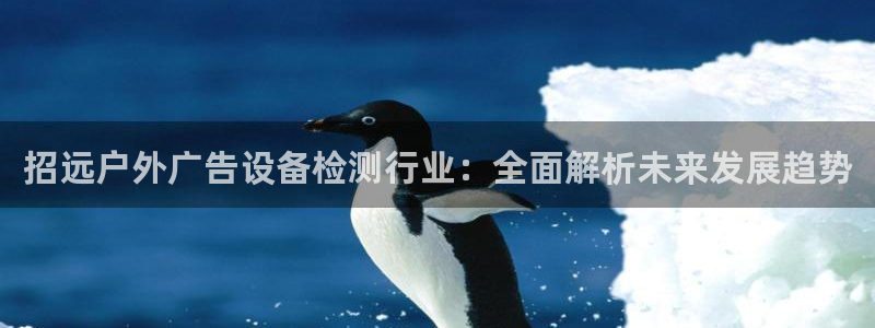 杏宇平台招商电话号码：招远户外广告设备检测行业：全面解析未来发展趋势