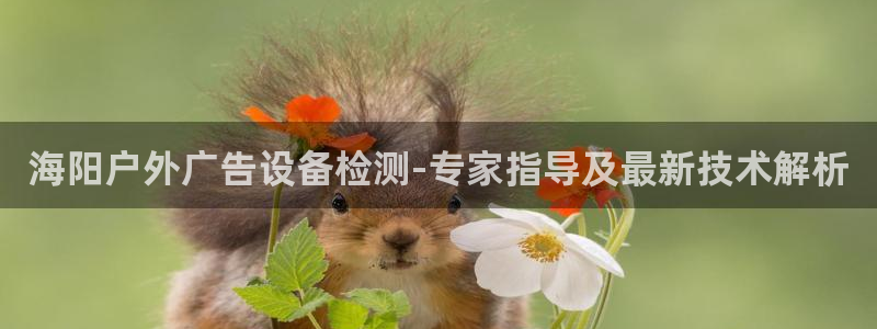 杏宇平台怎么样知乎：海阳户外广告设备检测-专家指导及最新技术解析