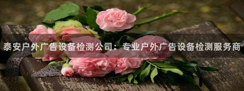 杏宇平台登陆：泰安户外广告设备检测公司：专业户外广告设备检测服务商