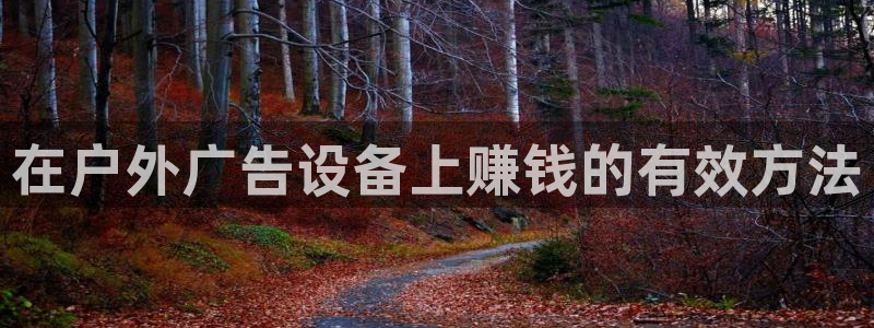 杏宇平台怎么样知乎：在户外广告设备上赚钱的有效方法