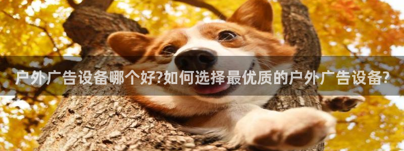 杏宇平台代理多少钱一个月：户外广告设备哪个好?如何选择最优质的户外广告设备?