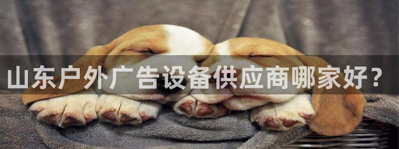 杏宇官方平台官网：山东户外广告设备供应商哪家好？