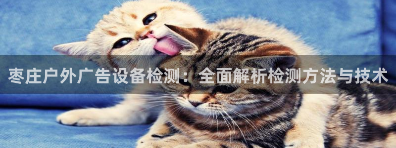 杏宇平台代理怎么样可靠吗：枣庄户外广告设备检测：全面解析检测方法与技术