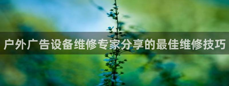 杏宇官方平台官网下载