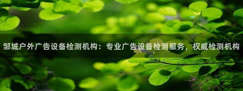 杏宇平台是什么：邹城户外广告设备检测机构：专业广告设备检测服务，权威检测机构