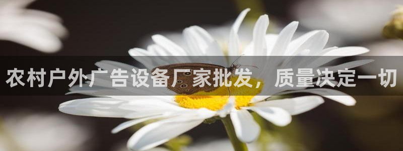 杏宇平台代理多少钱一个月：农村户外广告设备厂家批发，质量决定一切