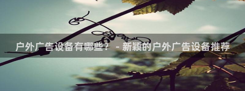 杏宇平台代理怎么样啊