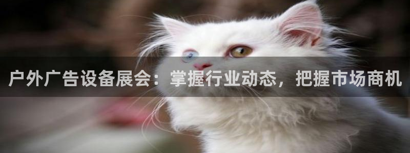 杏宇官方平台官网入口