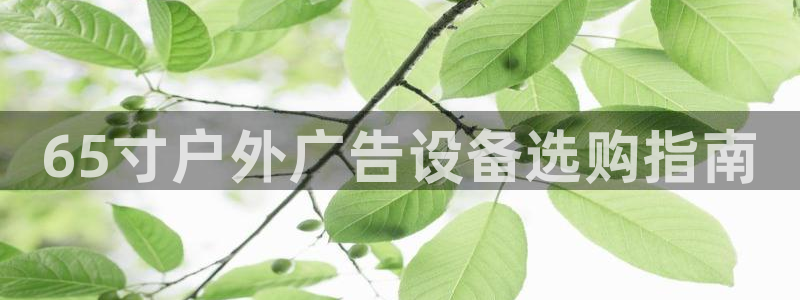 杏宇平台登录方法