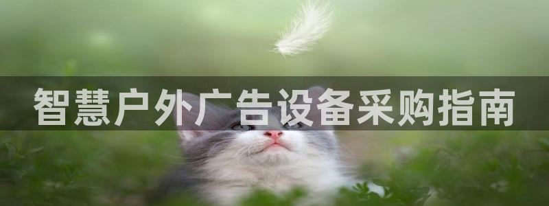 杏宇平台提现为什么这么久呢：智慧户外广告设备采购指南