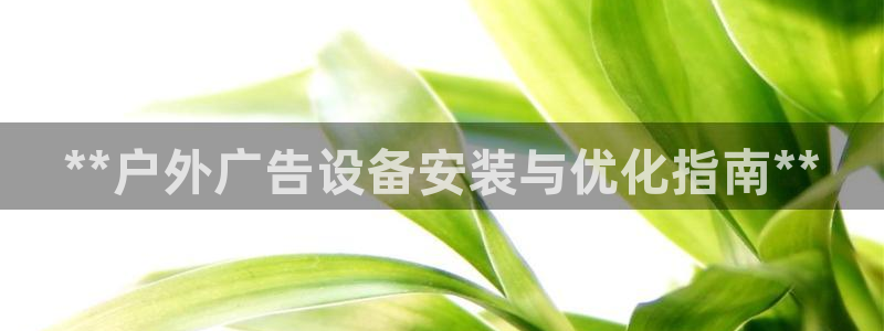 杏宇官方平台官网下载