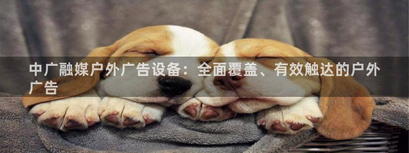 杏宇平台代理多少钱一次