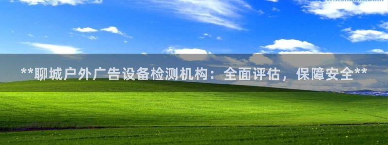 杏宇平台代理怎么赚钱快：**聊城户外广告设备检测机构：全面评估，保障安全**
