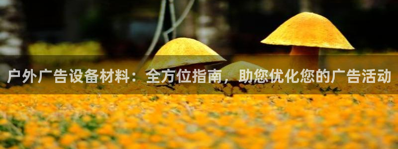 杏宇平台代理怎么样啊：户外广告设备材料：全方位指南，助您优化您的广告活动
