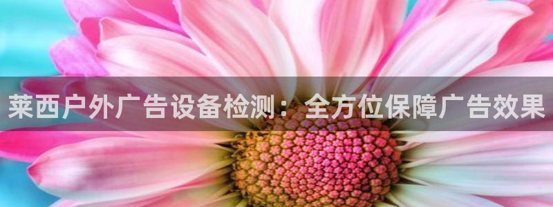 杏宇平台登陆：莱西户外广告设备检测：全方位保障广告效果