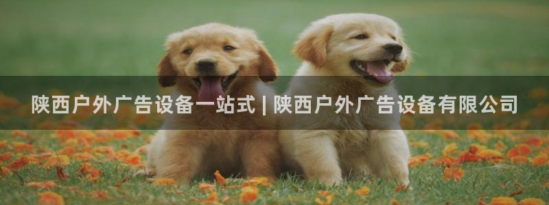 杏宇平台怎么样：陕西户外广告设备一站式 | 陕西户外广告设备有限公司