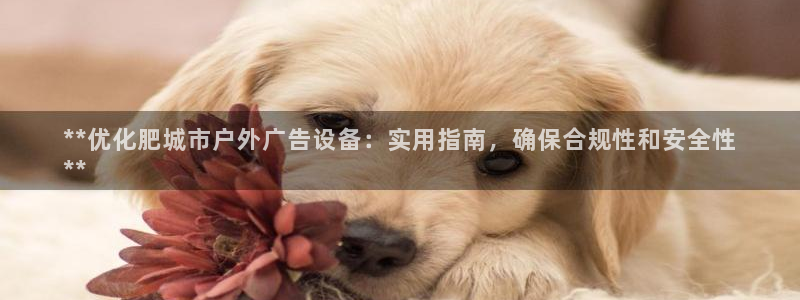 杏宇平台好吗：**优化肥城市户外广告设备：实用指南，确保合规性和安全性
**