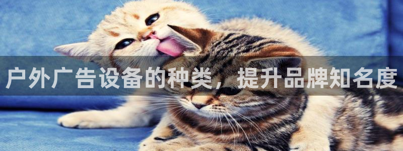 杏宇平台注册地址在哪里：户外广告设备的种类，提升品牌知名度