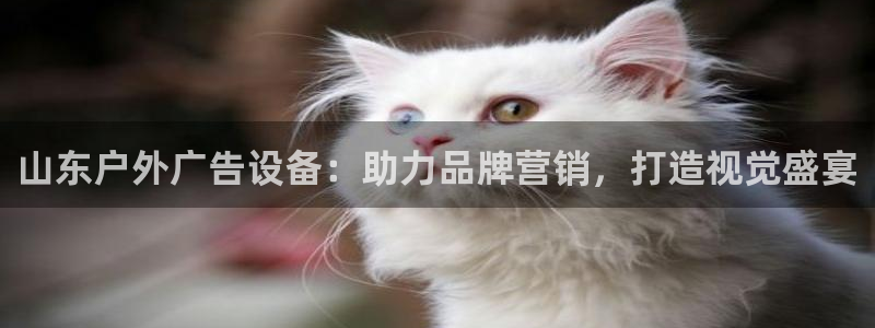 杏宇代理注册：山东户外广告设备：助力品牌营销，打造视觉盛宴
