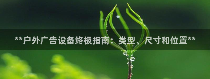 杏宇平台总代理电话：**户外广告设备终极指南：类型、尺寸和位置**