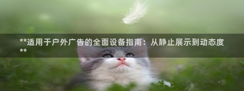 杏宇平台代理：**适用于户外广告的全面设备指南：从静止展示到动态度
**