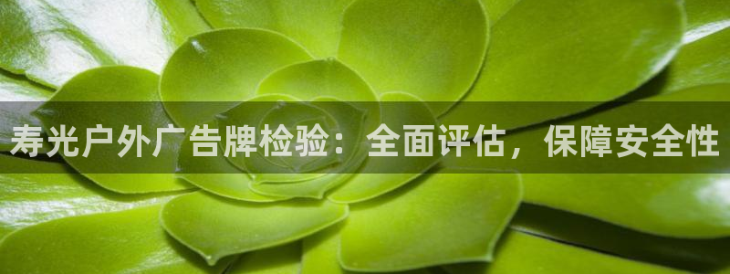 杏宇平台总代理电话：寿光户外广告牌检验：全面评估，保障安全性