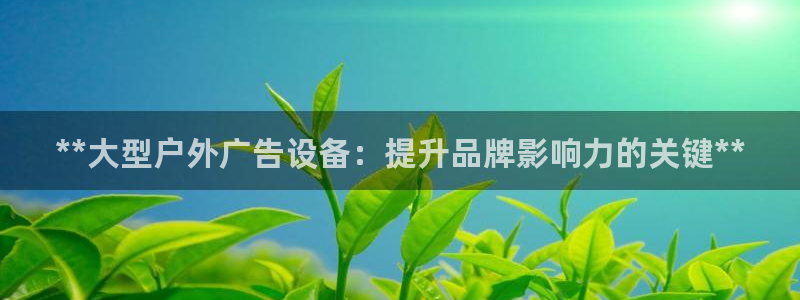 杏宇平台怎么样：**大型户外广告设备：提升品牌影响力的关键**