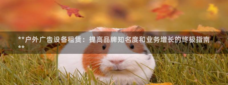 杏宇平台代理多少钱：**户外广告设备租赁：提高品牌知名度和业务增长的终极指南
**