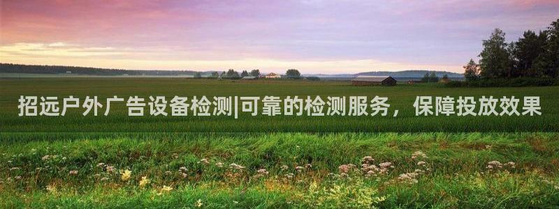 杏宇平台代理多少钱一个：招远户外广告设备检测|可靠的检测服务，保障投放效果