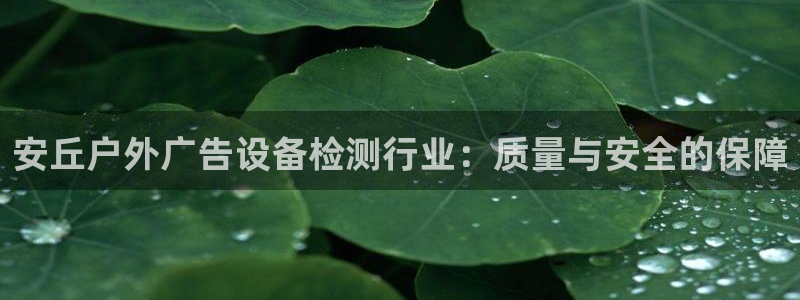 杏宇平台代理多少钱一个：安丘户外广告设备检测行业：质量与安全的保障