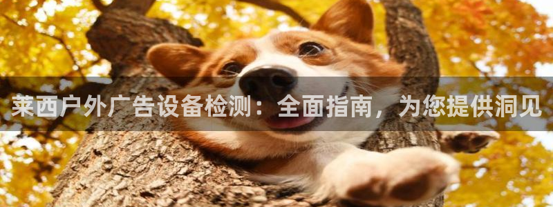 杏宇平台注册地址在哪里：莱西户外广告设备检测：全面指南，为您提供洞见