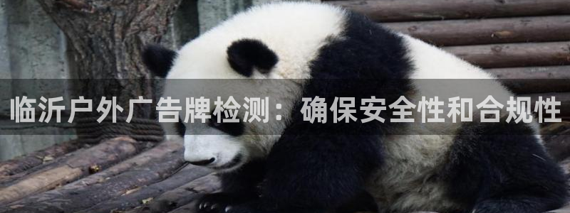 杏宇平台登录步骤：临沂户外广告牌检测：确保安全性和合规性