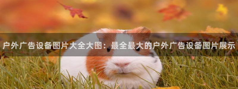 杏宇平台登录方法：户外广告设备图片大全大图：最全最大的户外广告设备图片展示