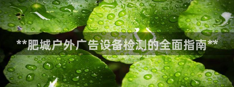 杏宇平台登陆：**肥城户外广告设备检测的全面指南**