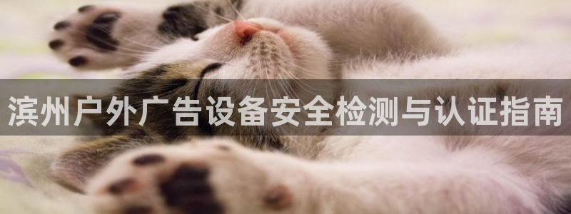 杏宇平台登录步骤是什么：滨州户外广告设备安全检测与认证指南