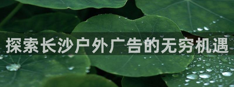 杏宇平台登录方法：探索长沙户外广告的无穷机遇