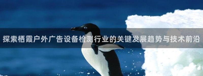 杏宇平台代理多少钱：探索栖霞户外广告设备检测行业的关键发展趋势与技术前沿