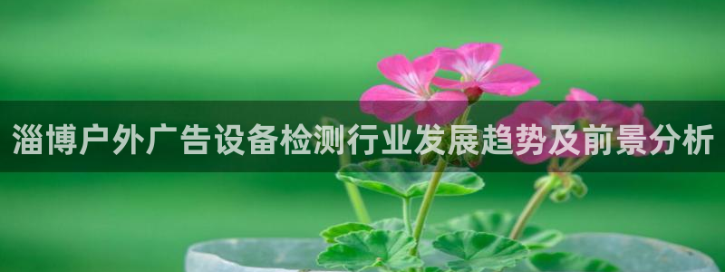 杏宇平台测速链接：淄博户外广告设备检测行业发展趋势及前景分析