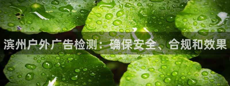 杏宇官方平台官网入口：滨州户外广告检测：确保安全、合规和效果