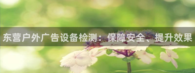 杏宇平台代理多少钱一次：东营户外广告设备检测：保障安全、提升效果