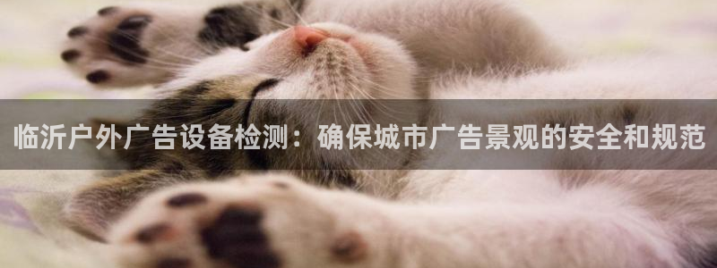 杏宇平台注册地址在哪里：临沂户外广告设备检测：确保城市广告景观的安全和规范